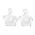 Transparent Acrylic with Glitter Pendants