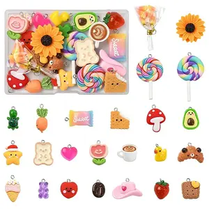 24Pcs 24 Styles Resin Pendants Sets