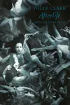 Afterlife - Polly Clark