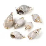 Electroplate Natural Spiral Shell Pendants