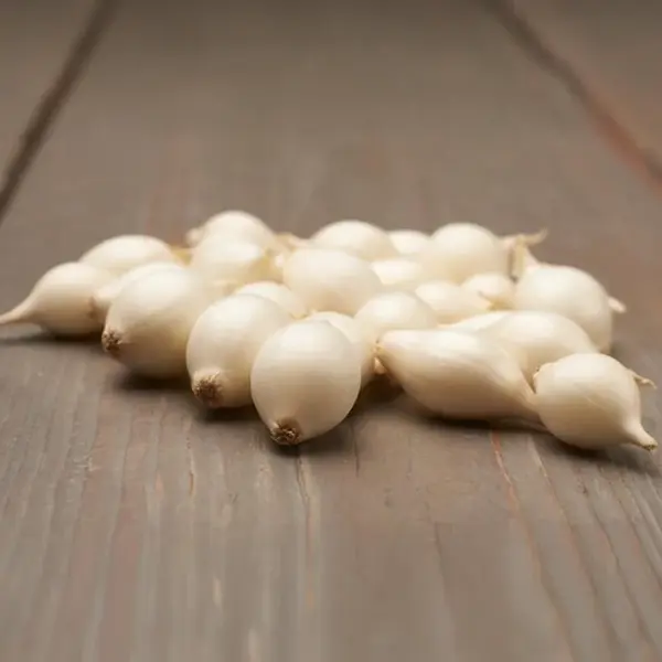 Cibuľa snowball 250/8-21mm/ biela