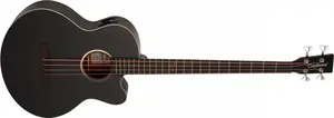 Tanglewood TB7ABCE