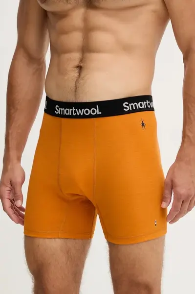 Funkční prádlo Smartwool Active Boxer Brief Boxed zelená barva, SW016996