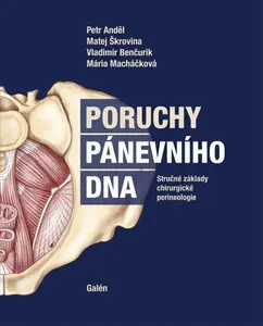 Poruchy pánevního dna - Petr Anděl, Matej Škrovina, Vladimír Benčurik, Mária Macháčková