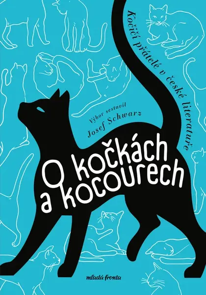 O kočkách a kocourech - Michaela Klevisová, Josef Schwarz, kolektiv autorů