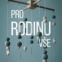 Pro rodinu vše - Phoebe Morgan - e-kniha