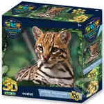 GES Ocelot