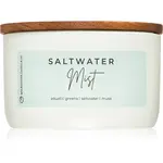 Milkhouse Candle Co. Statement Saltwater Mist vonná svíčka 283 g