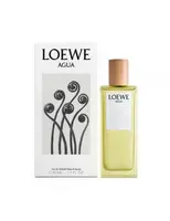 Loewe Agua - EDT 100 ml