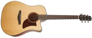 Ibanez AAD170CES Natural
