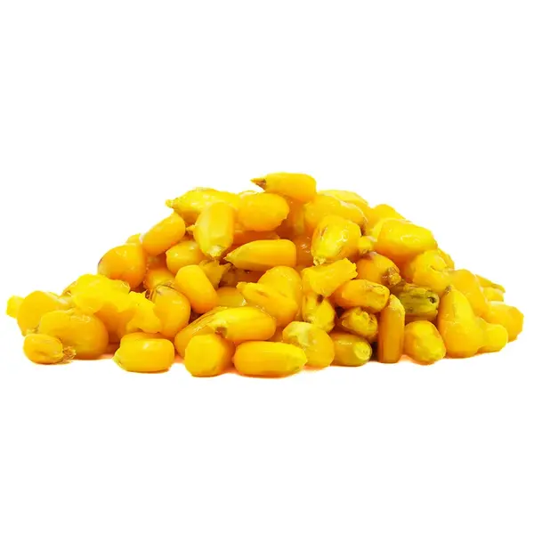 Carpway kukuřice ready carp corn ochucená 1,5 kg - vanilka