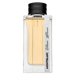 Mont Blanc Vetiver Glacier parfémovaná voda pro muže 125 ml