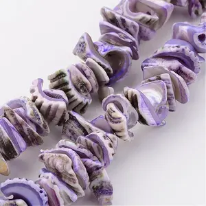 Natural Shell Bead Strands