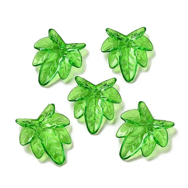 Transparent Acrylic Pendant