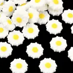 Silicone Focal Beads