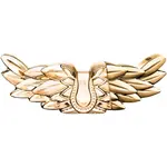 ZADIG&VOLTAIRE ZADIG L'INTENSE parfumovaná voda intense pre ženy 30 ml