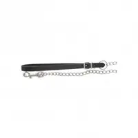 ZOLUX Kovové vodidlo 1m silné