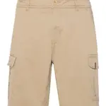 Men's shorts Protest PRTNYTRO