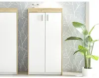 Skrinka s policami Paris, 64 cm, dub artisan/biela%