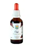 SALVIA PARADISE Čaga - chaga - rezavec šikmý AF tinktura 50 ml