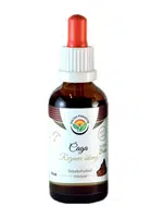SALVIA PARADISE Čaga - chaga - rezavec šikmý AF tinktura 50 ml