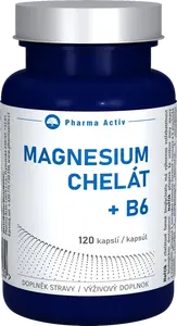 PHARMA ACTIV Magnesium Chelát + B6, 120 kapslí