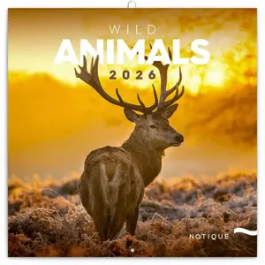 Divoká zvířata 2026 - nástěnný kalendář