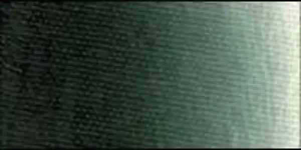 Olejová barva Old Holland 40ml – 310 Green Umber