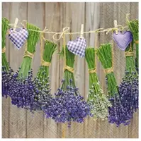 Ubrousek P 33x33 celorok TL331000