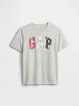 GAP Children's T-shirt with Americana logo - Boys