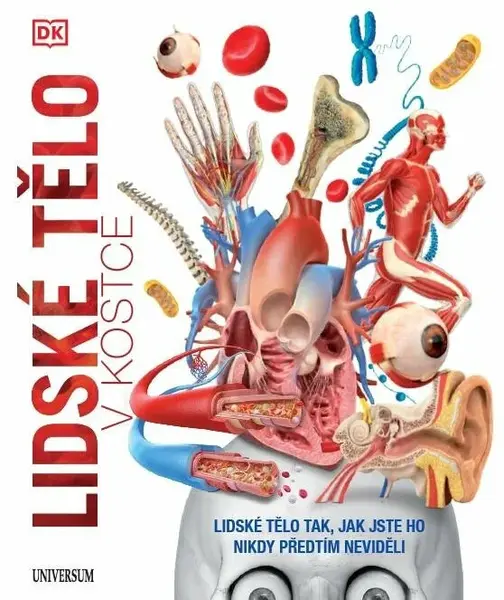 Lidské tělo v kostce (Defekt)