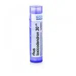 BOIRON Rhus Toxicodendron CH30 4 g