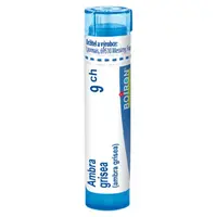 BOIRON Ambra grisea 9CH 4 g