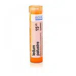 BOIRON Ledum Palustre CH15 4 g