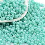 Baking Paint Glass Seed Beads