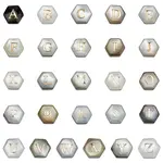26Pcs 26 Styles Natural Black Shell Hexagon Beads