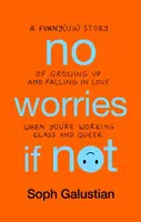 No Worries If Not - Soph Galustian