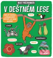 Malý průzkumník: V deštném lese - Carly Blake, Phoebe Jascourt - kniha z kategorie Encyklopedie