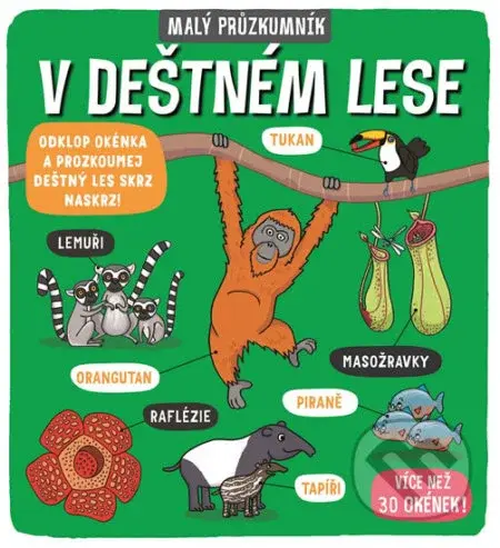 Malý průzkumník: V deštném lese - Carly Blake, Phoebe Jascourt - kniha z kategorie Encyklopedie