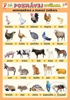 Poznávej zvířata - Hospodářská a domácí zvířata - Petr Kupka - kniha z kategorie 1. stupeň