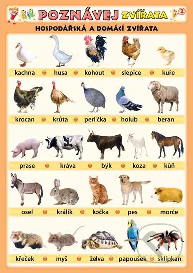 Poznávej zvířata - Hospodářská a domácí zvířata - Petr Kupka - kniha z kategorie 1. stupeň