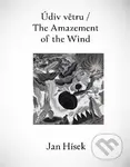 Údiv větru - Radek Wohlmuth, Jan Hísek, Petr Klíma, Martin Souček - kniha z kategorie Malířství
