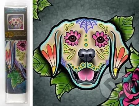 Diamantové malování 7D Labrador (30x30cm)