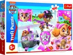 Tlapková Patrola: Skye v akci - puzzle z kategorie 60 - 300 dílků