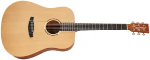 Tanglewood TR5