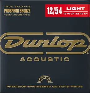 Dunlop DAP1254