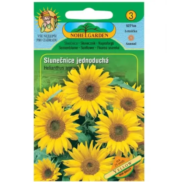 Slnečnica ročná jednoduchá, žlutá