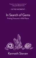 In Search of Gems - Kenneth Steven