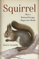 Squirrel - Castaldo Nancy