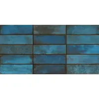 Tuzzi Blue Glossy 29,7/60